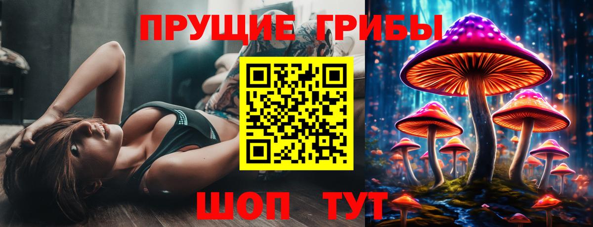Вичуга  Галлюциногенные грибы Psilocybe  Вход с VPN 