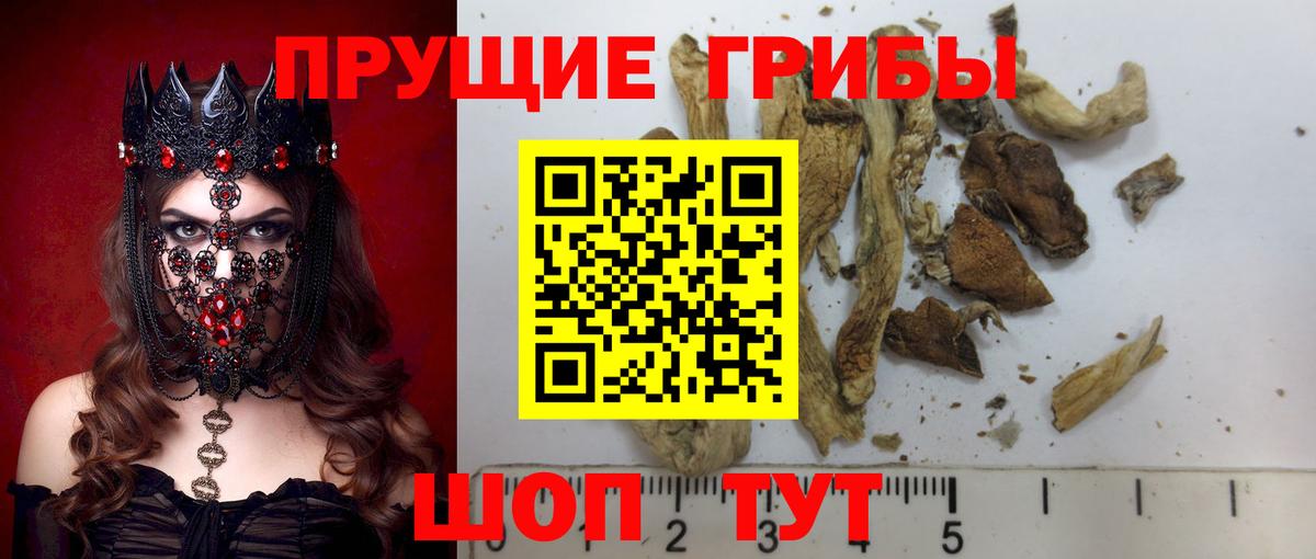 Псилоцибиновые грибы мухоморы Вичуга